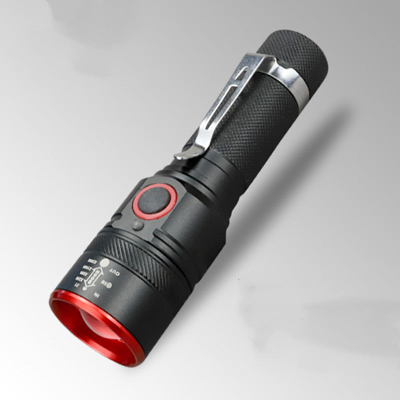 Flash torch